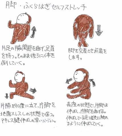 お家で出来る簡単ストレッチ　～脚・ふくらはぎ編～