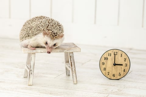 クールダウンが大切です(^^)/