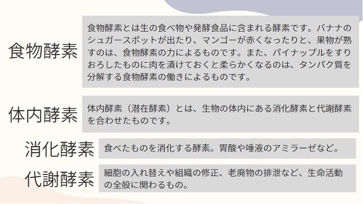 酵素を使いこなして病気知らず!酵素栄養学