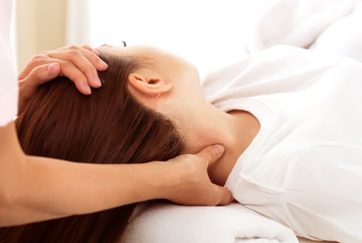 本日のご案内状況♪