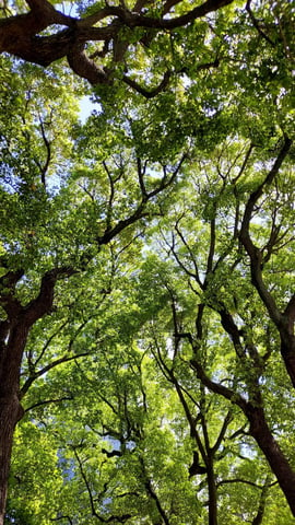 週の始まり月曜日アフターケアボディケアいかがでしょうか♪スッキリリフレッシュ♪