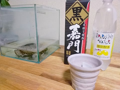 今日の一杯　金原