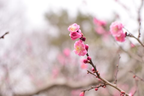 3/14　ご予約状況☆彡Re・Ra・Ku　イーアス高尾店☆彡