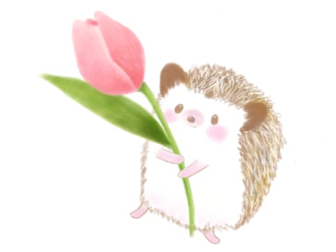 大切な「ハリ」