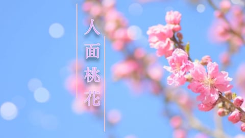 本日の空き情報🍑👩