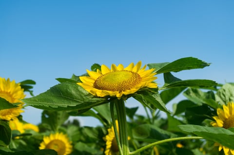 やり続けよう！ストレッチ(^^)
