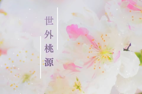 本日の空き情報