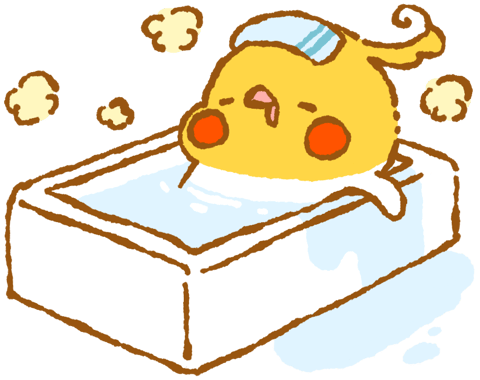 30歳をこえてお風呂の大切さを知る(`・ω・´)