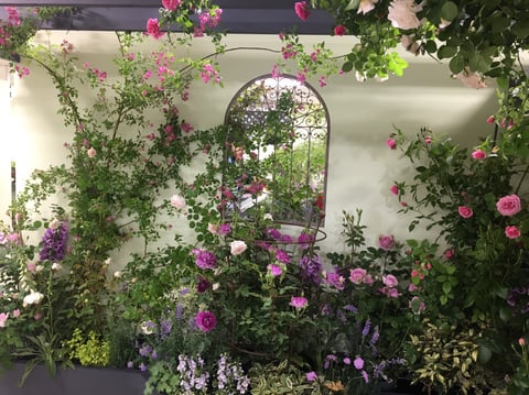 雨がシトシト……