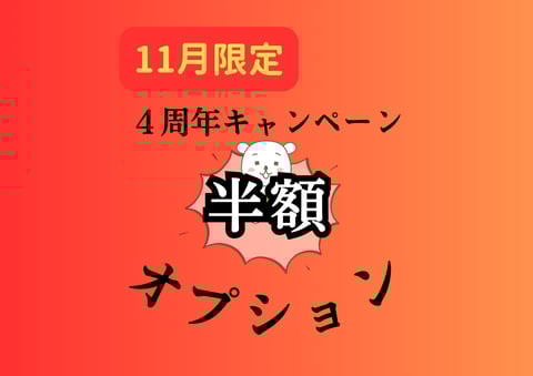 11月はオプション半額！