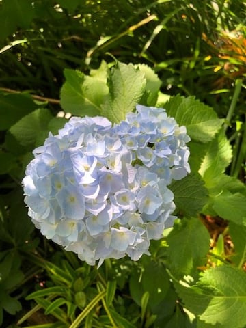 本日（６/７）の空き状況のお知らせ