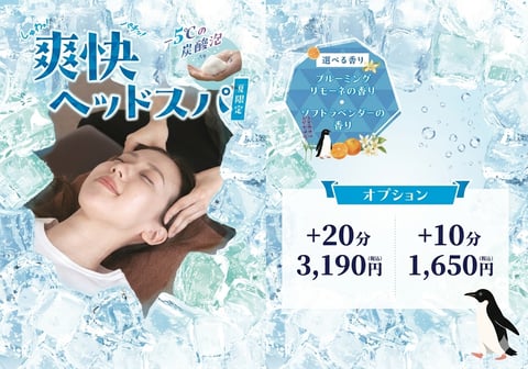 本日の気温にピッタリオプション！