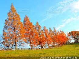 11月22日(水)空き状況のお知らせ♪