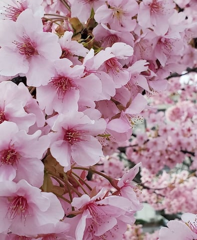 新学期スタート！　リラク北浦和店