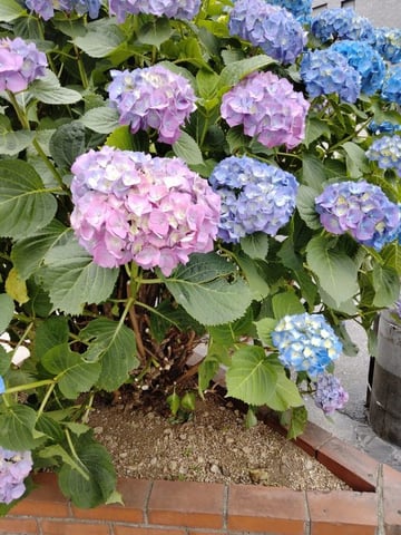 リラク池上店5月26日の空き状況