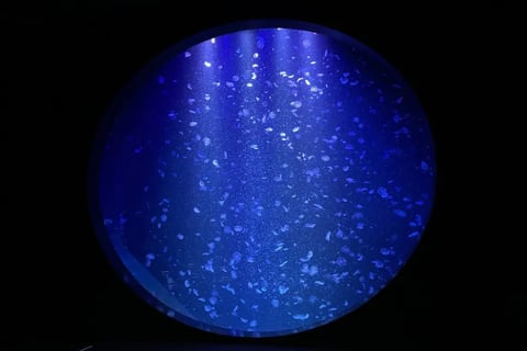 宇宙でいちばんあかるい屋根