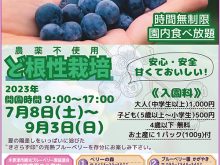 夏休みのおでかけにブルーベリー狩りはいかがでしょう？