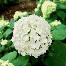 5月29日(水)のご案内♪