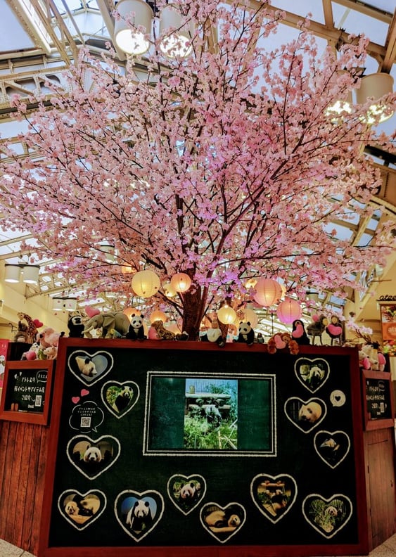 ３月３０日空きがございます！