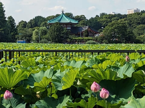 リラク上野店でReフレッシュしませんか？！