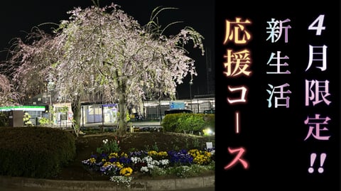 駅前の夜桜がキレイでした♪