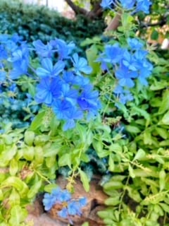 休憩中にパシャリ！！