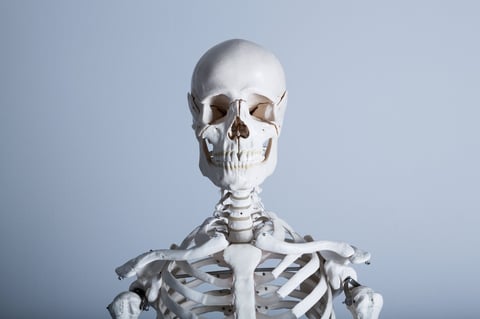 骨には衝撃が必要?!