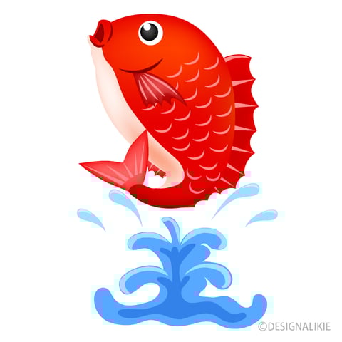 驚きの長寿の魚とは？