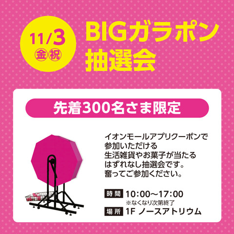 BIGガラポン抽選会