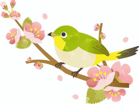 2/4（水）本日の空き情報♪【大宮西口店】