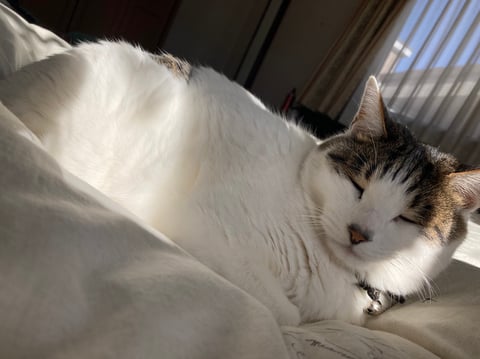 実家に帰省しました！