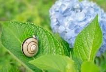 もうすぐ6月ですね