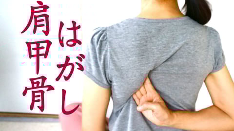 ご新規様必見！！【ReRaKu田園調布】