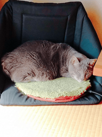 最近のけじゃらさん