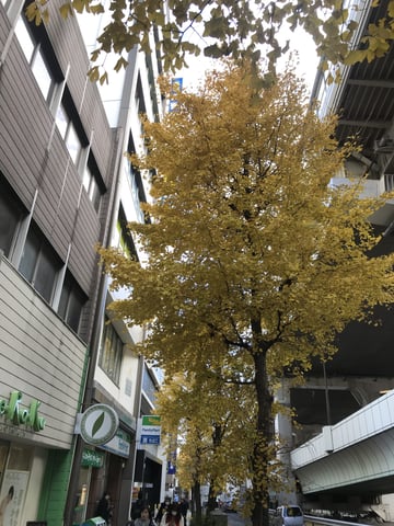 三連休最終日まだ空きございます！/三軒茶屋店