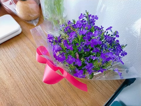 おうちにお花があるっていいですね(*^-^*)