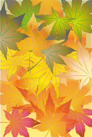 気温差疲労に注意！