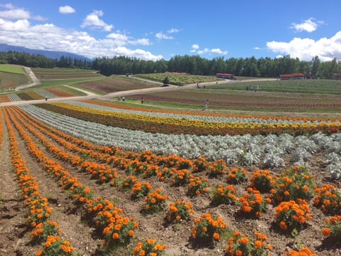 北海道旅行！！ー食の旅ー