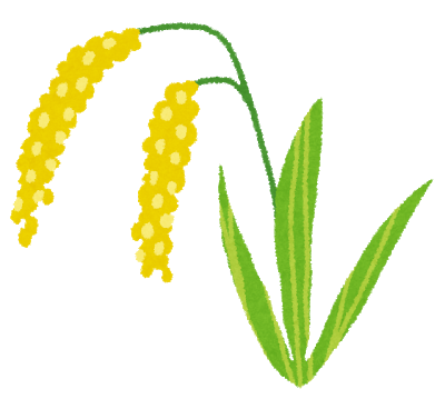 6月20日は「一粒万倍日」☆【Re.Ra.Ku 日比谷シティ店】