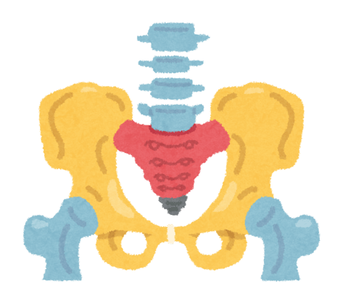 グレードアップ骨盤ケアで背中・腰の辛さをスッキリと【キテラプラザ青葉台店】