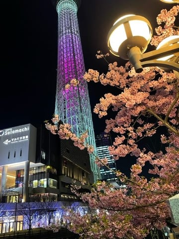 スカイツリーと桜🌸