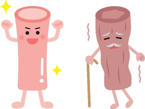 キレイな血管で元気をキープ！おうちで出来る血管トレーニング編