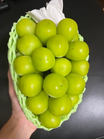 シャインマスカット