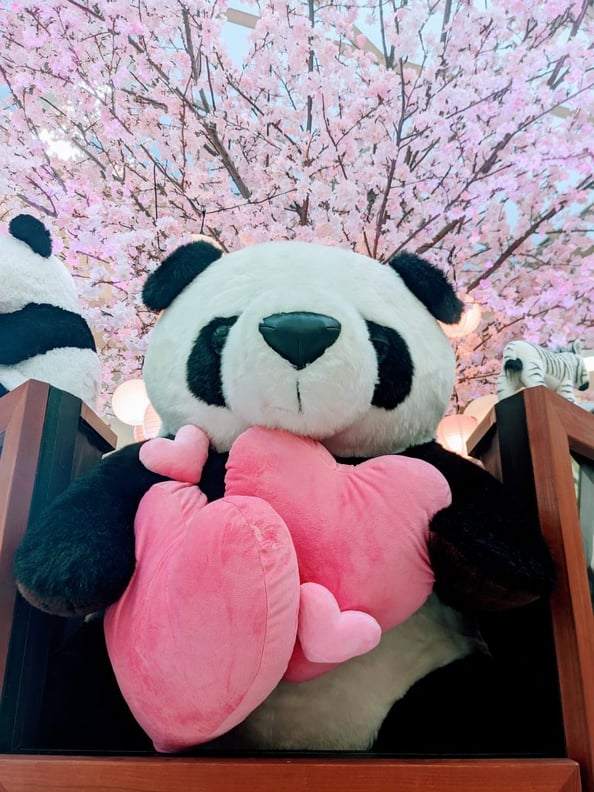 今！上野がステキなことに！？