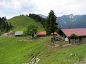 Spitzingalmen – © mtbsepp.de