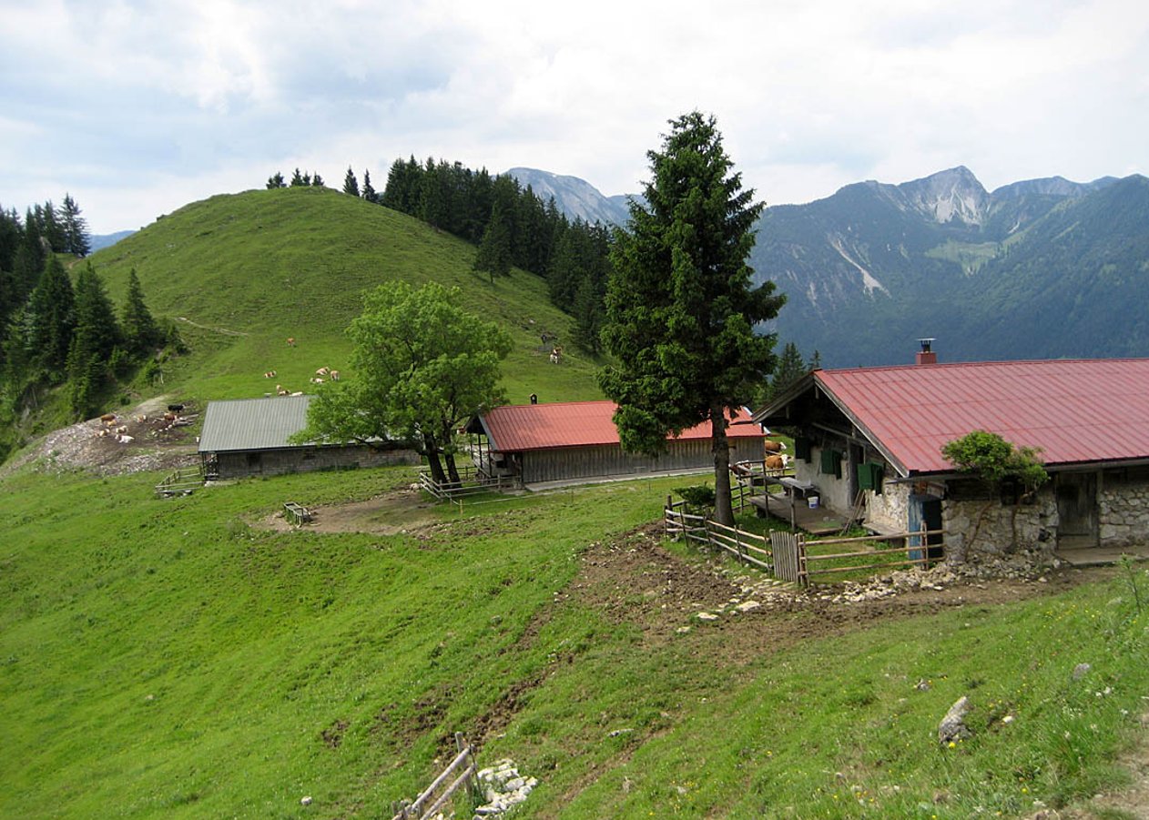 Vom Ortsteil Hammer der Gemeinde Fischbachau über Geitau hinauf zu den nicht bewirteten Spitzingalmen
