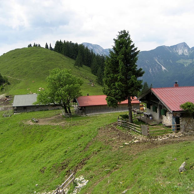 Vom Ortsteil Hammer der Gemeinde Fischbachau über Geitau hinauf zu den nicht bewirteten Spitzingalmen