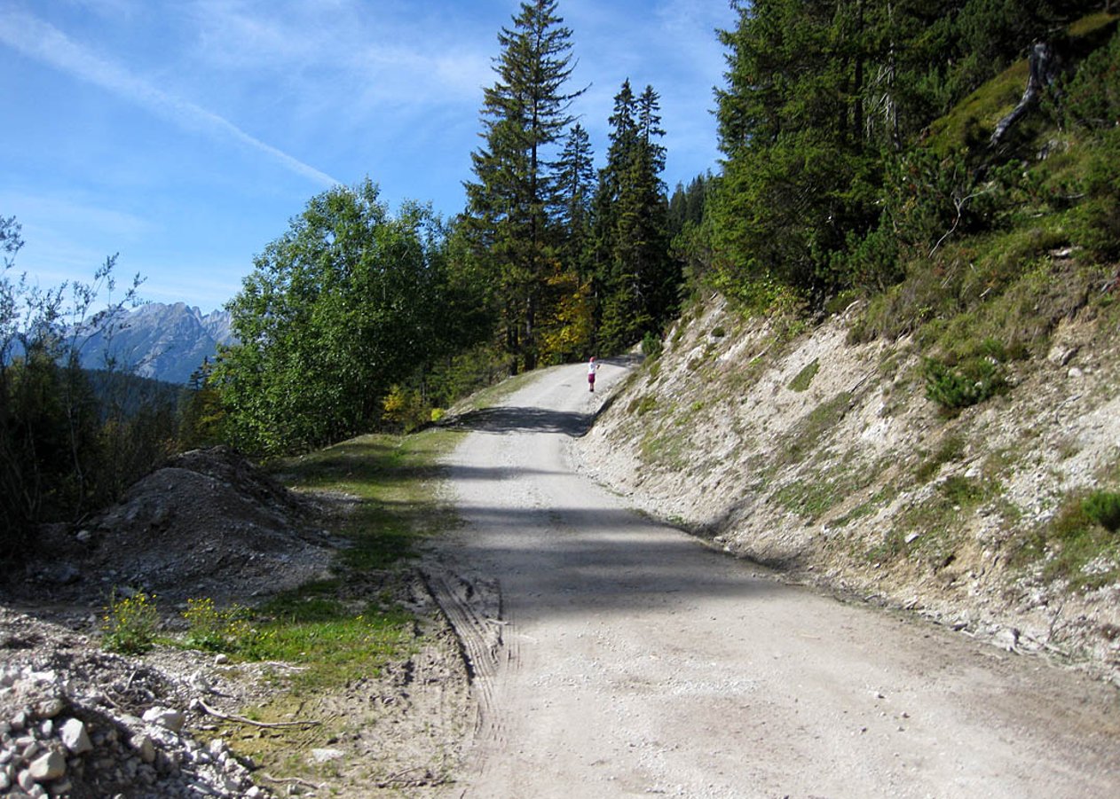 Durch das Gießenbachtal bei Scharnitz zur Oberbrunnalm unterhalb von Kreidenkopf und Zäunlkopf