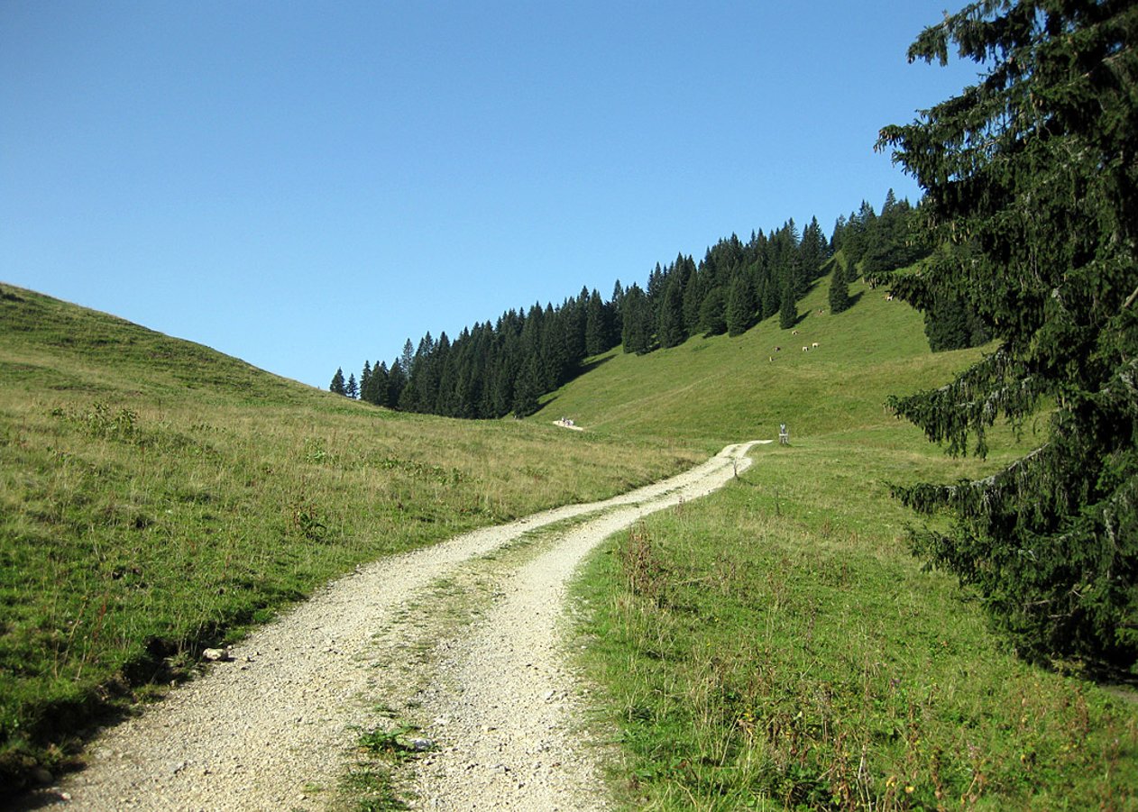 Von Lenggries Hohenburg über das Hirschbachtal hinauf zum Hirschtalsattel und weiter zur Lenggrieser Hütte