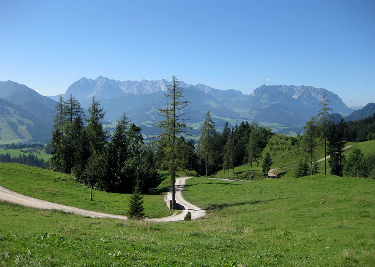 Kurze Mountainbike-Tour von Kössen hinauf zur gemütlichen, idyllisch gelegenen Frankenalm am Fuße des Sonnwendköpfl